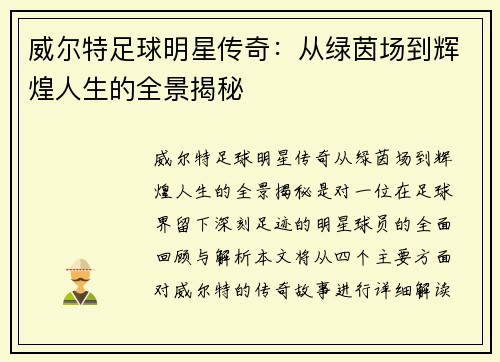 威尔特足球明星传奇：从绿茵场到辉煌人生的全景揭秘