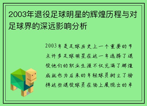 2003年退役足球明星的辉煌历程与对足球界的深远影响分析