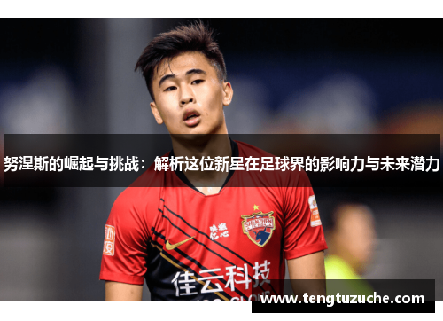 努涅斯的崛起与挑战：解析这位新星在足球界的影响力与未来潜力